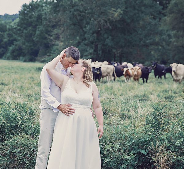 Shane Michael Studios wedding photography of a bride & groom in a field with cows behind them